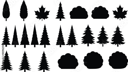 Pine tree and maple leaf silhouette set, bush and shrub collection, forest nature illustration isolated on white background, garden plant icons.