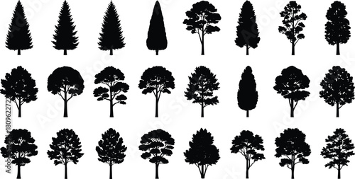 Tree silhouette vector set, pine fir oak collection, forest nature illustration isolated on white background, garden plant icons, landscape design elements.