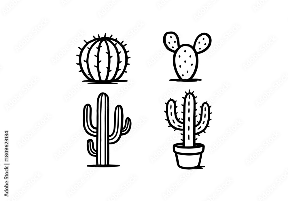 Fototapeta premium Cactus hand drawn simple sketch vector illustration