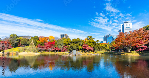 紅葉に包まれる秋の小石川後楽園、池と青空の日本庭園