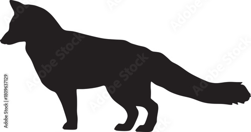 vector image of a dog silhouette, dog silhouette, black dog silhouette, dog standing, beautiful dog, dog breed, emotions, beautiful image, silhouette