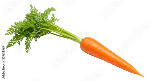 Fresh Carrot with Green Leaves vegetable food