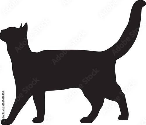 Cat silhouette vector image, black cat silhouette, black cat, beautiful cat, cat standing, beautiful image, cat drawing