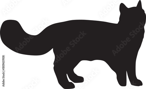 Cat silhouette vector image, black cat silhouette, black cat, beautiful cat, cat standing, beautiful image, cat drawing