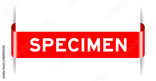 Red color inserted label banner with word specimen on white background