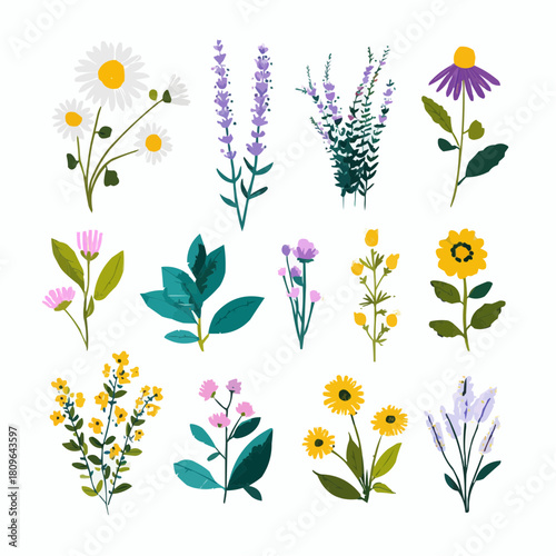 Flat naive vector clipart set of various medicinal herbs and wildflowers, perfect for natural health blogs, herbal remedy packaging, or botanical illustrations.