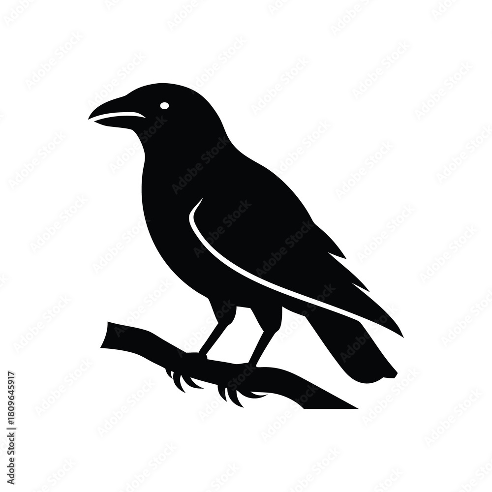 Fototapeta premium Crow perched on a branch isolated on white background isolated on transparent background