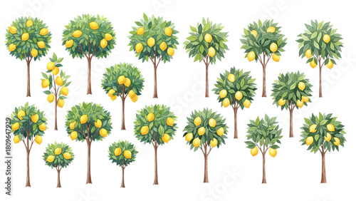 A collection of illustrated lemon trees in various shapes and sizes, all bearing ripe yellow fruit