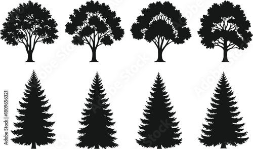 Collection of black tree silhouettes featuring deciduous and evergreen pine trees, isolated vector illustration for nature forest landscape.