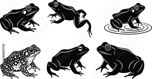 Set of black frog silhouettes, spotted toad vector, jumping and swimming amphibian, nature animal illustration collection isolated.