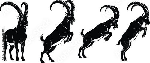 Alpine ibex vector silhouette collection, wild mountain goat with long horns standing and jumping, black and white animal illustration set.