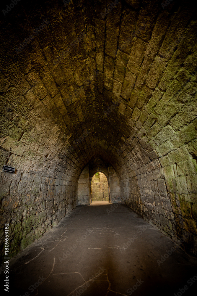Fototapeta premium Ancient castle underground cellar of warkworth castle,, Northumberland. UK. Stone walls and cold, damp floor.