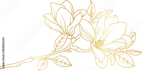 Golden magnolia flowers line art isolated on white background. Luxury magnolia floral design elements for invitation, wedding, wallpaper, print template, vector illustration