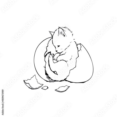 Newborn kitten emerging from a cracked eggshell symbolizing new beginnings and unexpected life.