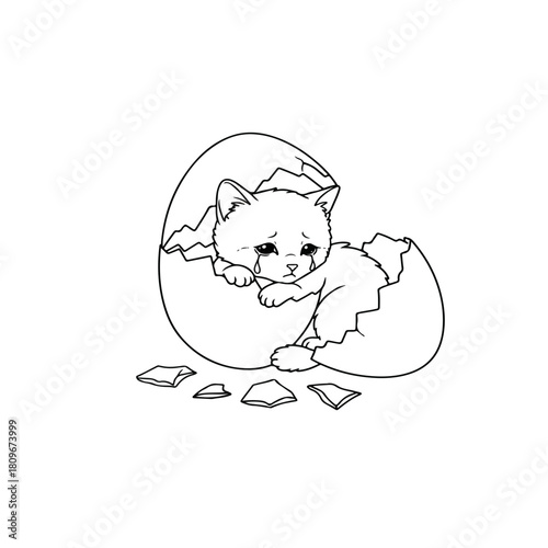 Sad Crying Kitten Hatching from a Broken Egg.