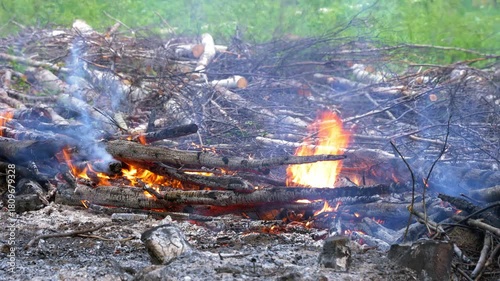 Burning trees at traditional slash-and-burn cultivation site.