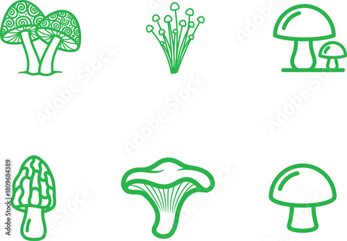 Assortment of edible green mushroom line icons on white background showcasing different types of forest fungi and organic natural elements