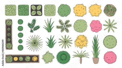 Stylized top-down botanical elements a diverse collection of decorative plants and trees rendered in flat, vibrant vector art for landscape architecture designs