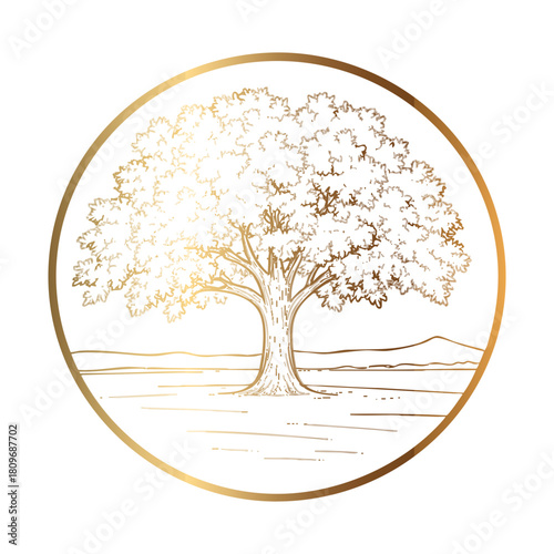 Gold oak tree in a circle