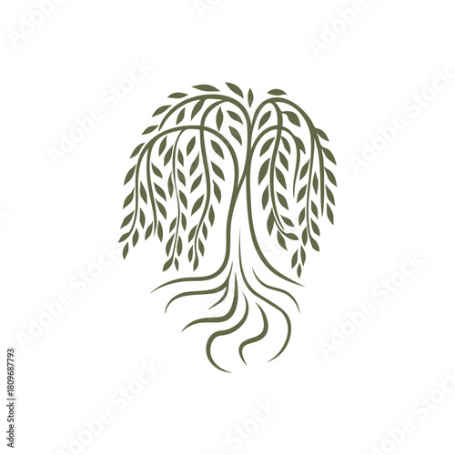 Minimalist willow tree with roots