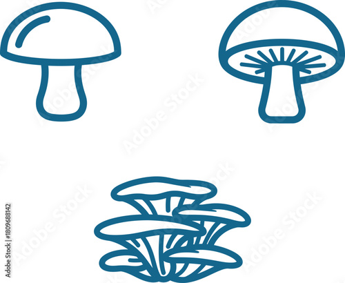 Mushroom Variety Icon Collection Outlined in Blue Featuring Agaricus bisporus Oyster and Unidentified Species Representing Fungi Diversity and Culinary Ingredients