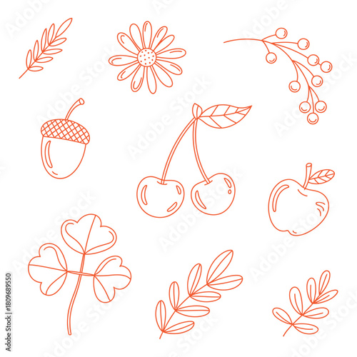 Botanical outline illustration with flower fruits and leaves arrangement design