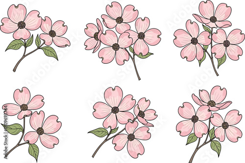 Pink dogwood flower collection, delicate botanical blossoms illustration set, spring floral artwork with soft petals and leaves for decorative design use