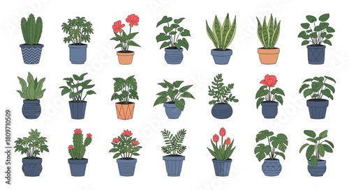 A large and charming collection of various indoor houseplants in colorful and patterned pots isolated on a white background.