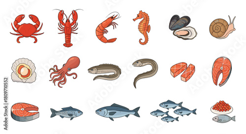 A large collection of various colorful seafood items including fish crustaceans and mollusks isolated on a white background.