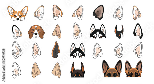 A creative constructor set for making dog faces with various breeds and ear shapes like corgi beagle and husky.