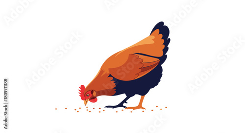 A detailed illustration of a domestic hen with brown and black feathers pecking at grains scattered on the ground isolated on a white background.