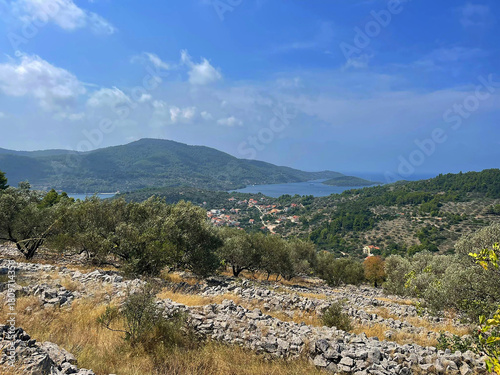 a view of the coast and mountains from a hill