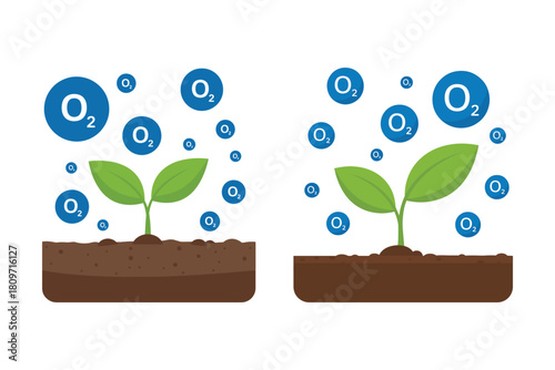 Plant growing releasing oxygen into the atmosphere in nature concept