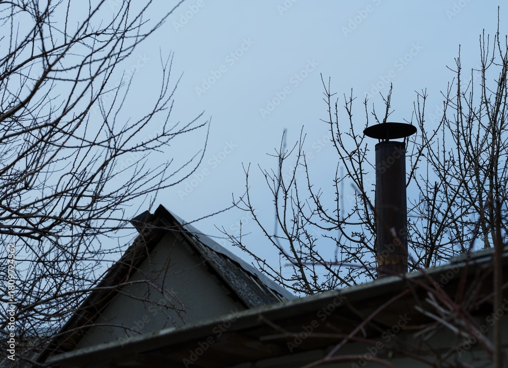 Fototapeta premium Rooftops and chimney among bare branches against a gloomy sky.