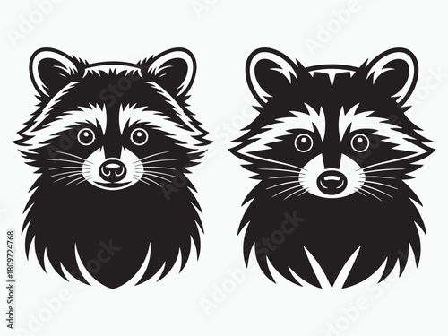 raccons vector illustration shillouette