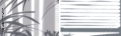 Sunlight plant and window blinds shadows on light wall texture