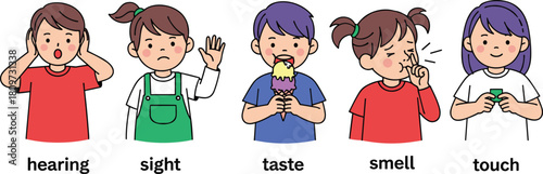 Cartoon children showing five senses, educational vector for kids, hearing, sight, taste, smell, touch, preschool learning, sensory illustration, colorful design