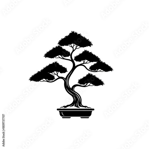A conceptual black vector silhouette of a balanced bonsai.