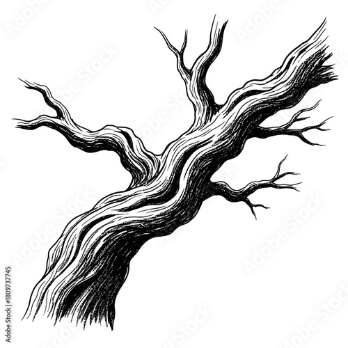 A Deeply Gnarled Ancient Tree Branch in a Textured Charcoal Sketch (1).