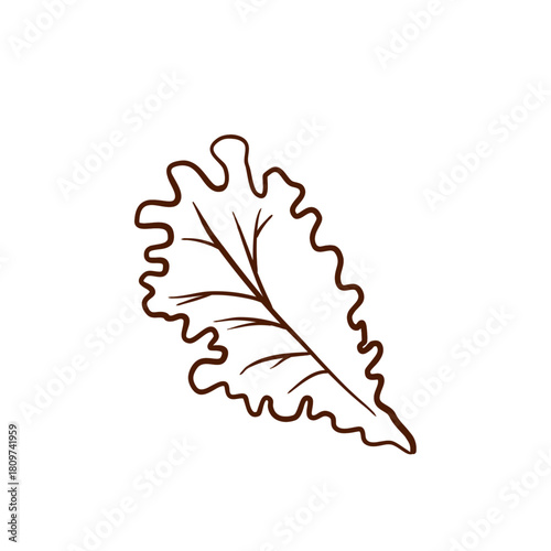 A lettuce leaf, drawn in outline style. This simple, linear vector illustration is uncolored and isolated on a white background. Suitable for menu design, logos, packaging, culinary blogs, restaurants