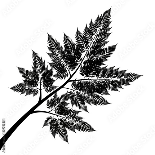 A Symmetrical Tree Branch with a Fractal Leaf Pattern for Decorative Art (2).