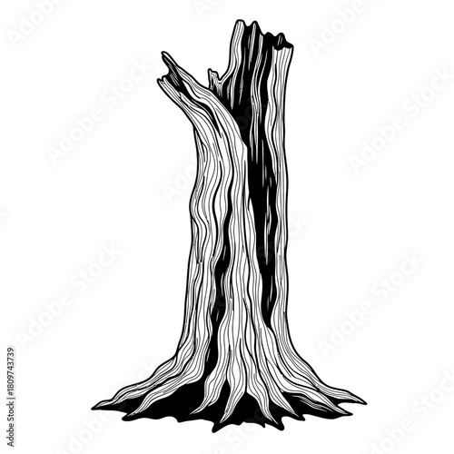 A timeless black vector silhouette of a weathered trunk bonsai.
