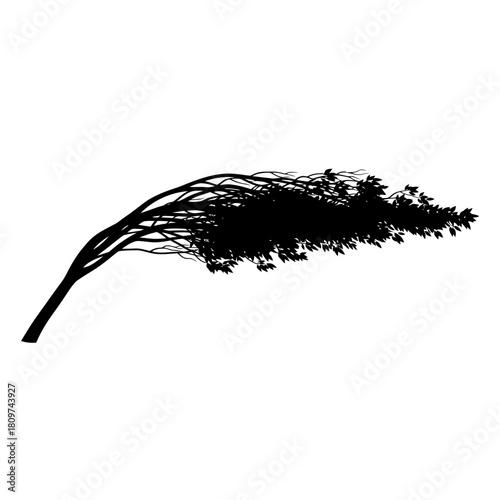 A Tree Branch Bending Dramatically in Wind in a Dynamic Motion Graphic Style (1).