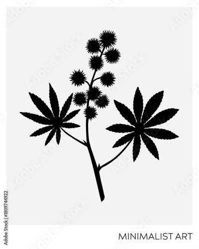 Castor bean silhouette illustration. Minimalist art botanical poster template. Trinket design element. NOT AI generated
