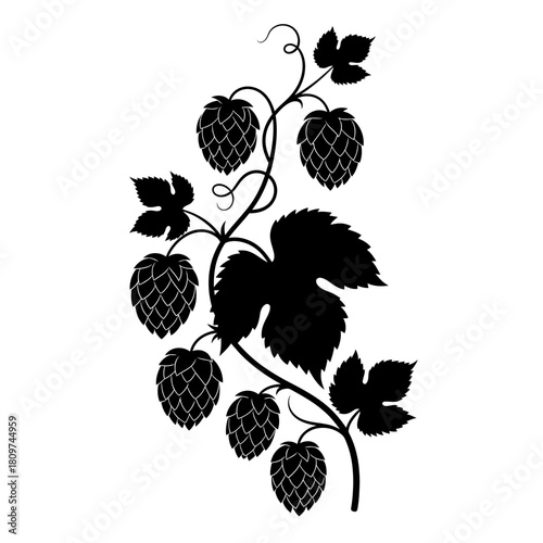 A Verdant Black Silhouette of a Hop Vine with Cones for Brewing (2).