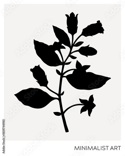 Beladonna silhouette illustration. Minimalist art botanical poster template. Trinket design element. NOT AI generated