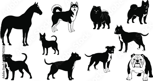 Silhouette collection of various dog breeds and a horse, detailed vector animal illustration showcasing pets, working animals,