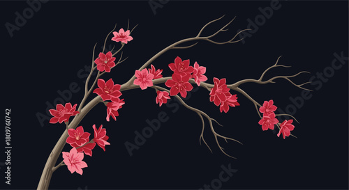Delicate red plum blossoms adorn bare branches against a dark navy background.