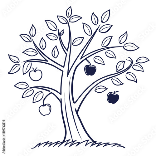 Illustration of an apple tree with leaves and apples hanging from the branches in black and white
