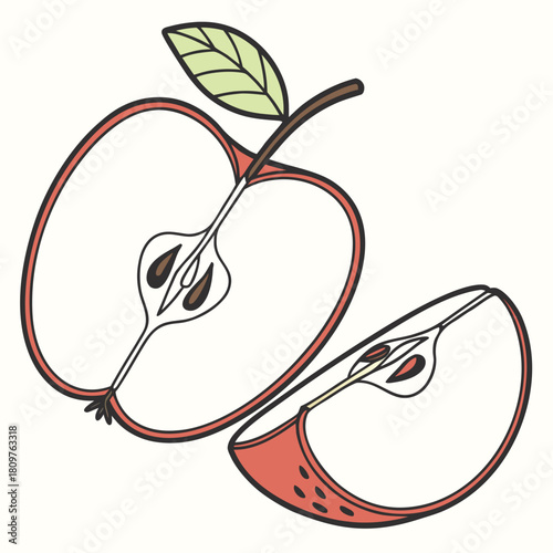 Illustration of a sliced apple with a leaf and stem showing the seeds and core on a white background